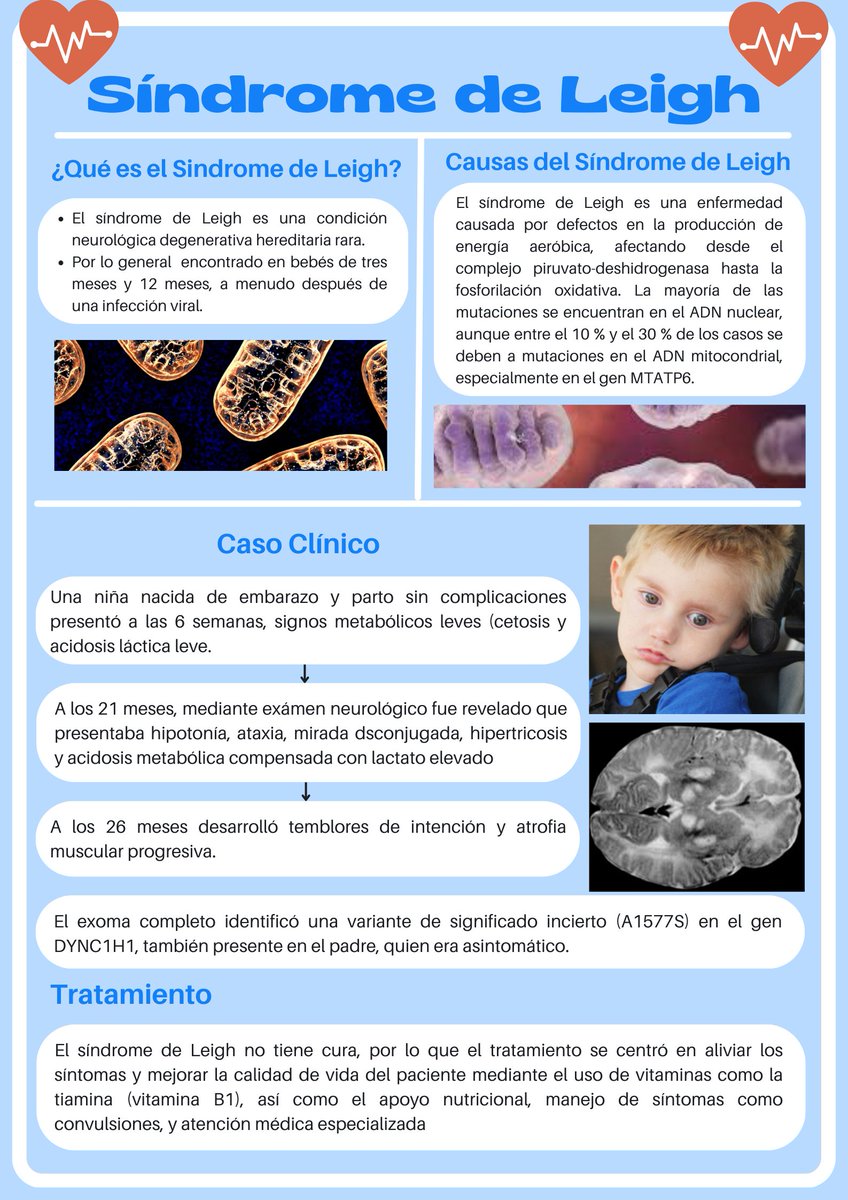 AndreitD6's tweet photo. Caso clínico Sindrome de Leigh

El síndrome de Leigh es una enfermedad neurodegenerativa progresiva y genética que afecta al sistema nervioso.

@Anghelo77ac @UleamEcuador #UleamEsAcademia #UleamEnBuenasManos https://t.co/z1UXa9fDFX