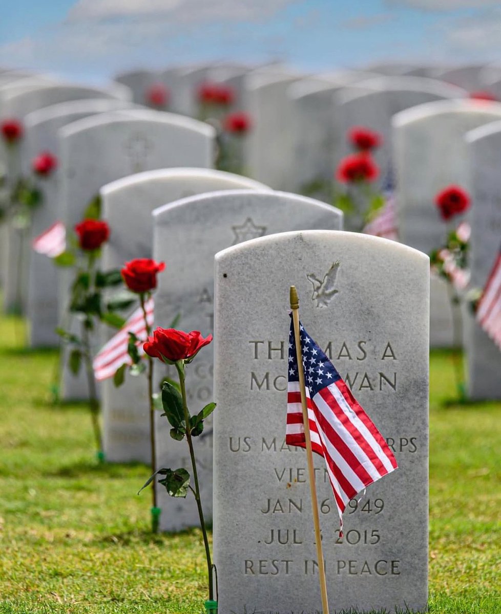 Global Rose tweet media