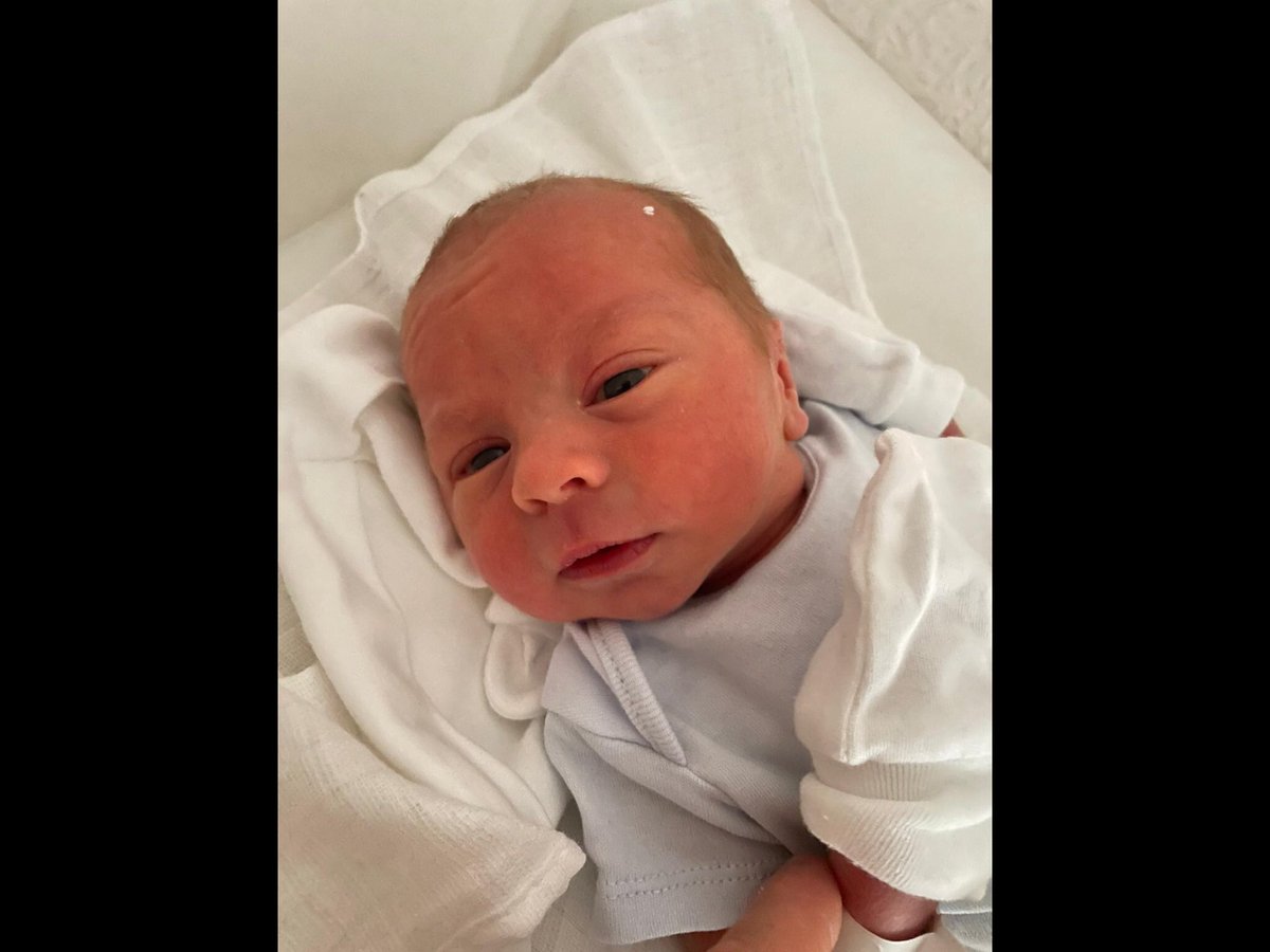 Stephen Greaves tweet media