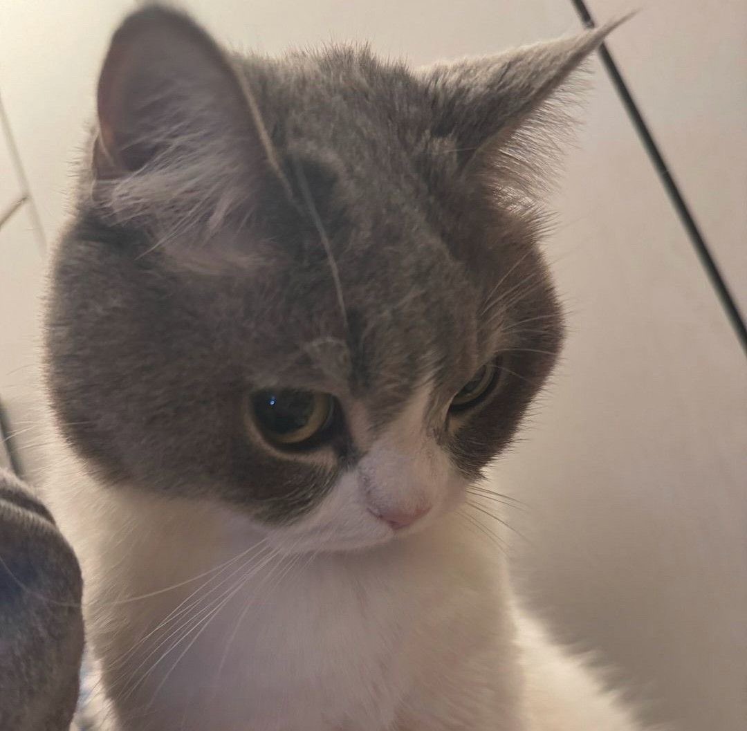 takemybear's tweet image. รองเท้าคุ่นีกี่บาท ซื้อมาตอนไหน แพงรึป่าว
ไม่แพงคับ ลดราคา90% เค้าโชคดีมาก