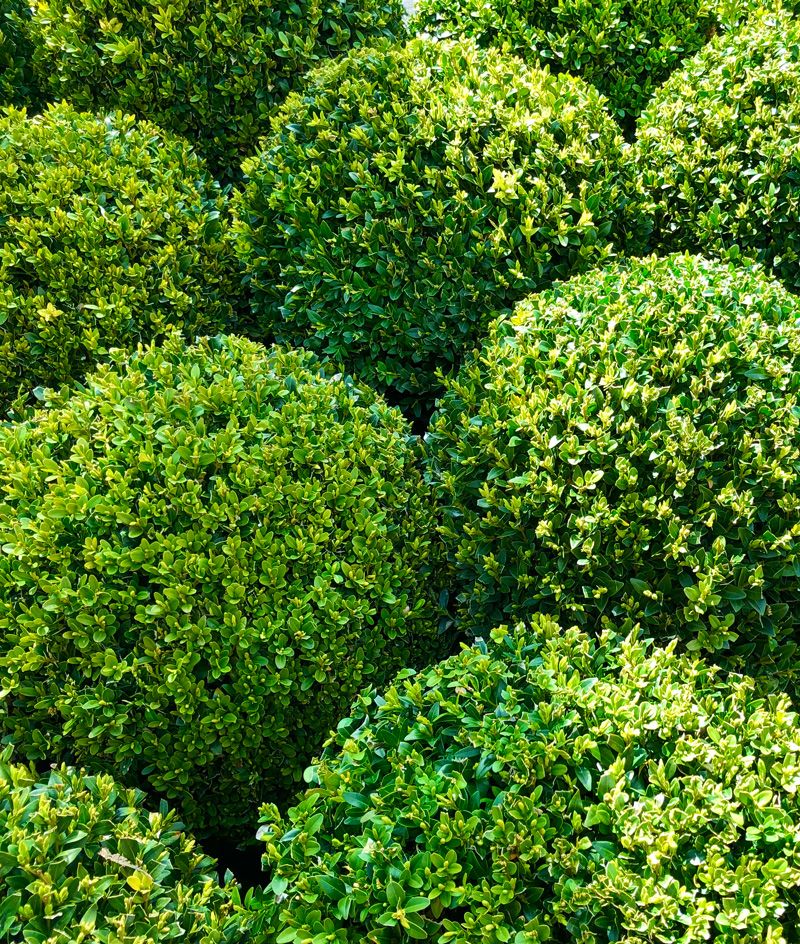 Charleville House &amp; Gardens: A Living Inspiration for Craft Gardeners -  buff.ly/H22YaBx #Craftgardener #Charlevillehouse #private estate