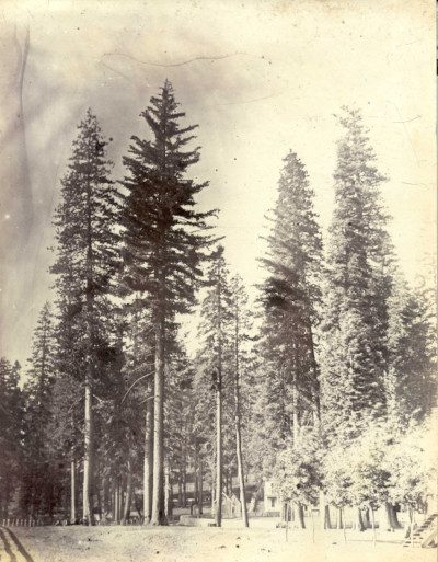 #BlogMNCN Las fotografías 📸 de Rafael Castro fueron pioneras en la representación de las tierras de #California. Aumentaron el prestigio de la Expedición Científica del Pacífico como intuyó Mariano de la Paz Graells. ¡Custodiamos los negativos originales! mncn.csic.es/es/comunicacio…