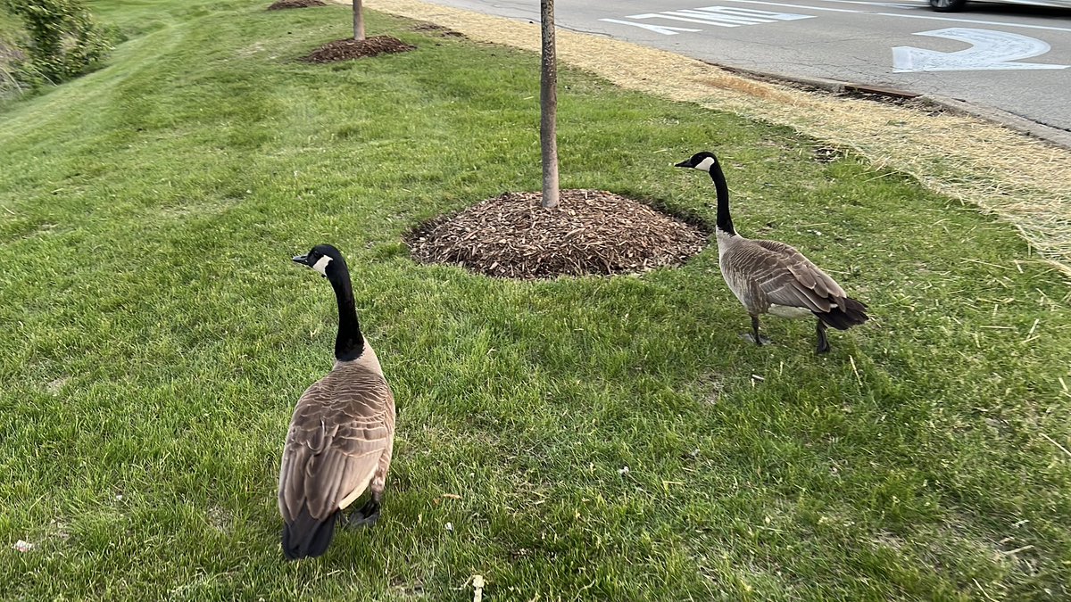 Let’s all get together again soon.
Huge thanks to the entire FGC and the Combo Breaker 2025 team.
#ComboBreaker2025