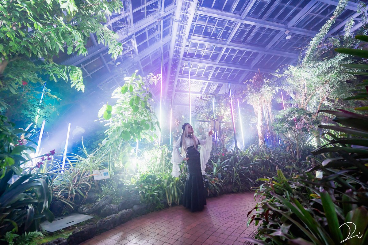 京都府立植物園でLIGHT CYCLES KYOTOが開催されています。
光と音に満たされた空間がとても綺麗でした。

#LIGHTCYCLESKYOTO
※内覧会にて撮影