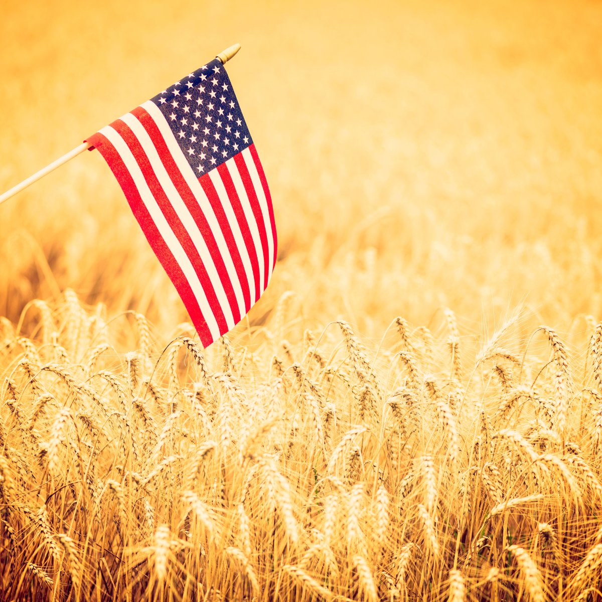 Locus Agriculture (@locusag) on Twitter photo Freedom isn’t free—and today, we honor those who made the ultimate sacrifice so that we may live, work and farm in freedom.
We’re proud to serve American farmers—many of whom have also served our country.
From all of us at <a href="/LocusAg/">Locus Agriculture</a> , thank you.
#MemorialDay Freedom isn’t free—and today, we honor those who made the ultimate sacrifice so that we may live, work and farm in freedom.
We’re proud to serve American farmers—many of whom have also served our country.
From all of us at <a href="/LocusAg/">Locus Agriculture</a> , thank you.
#MemorialDay