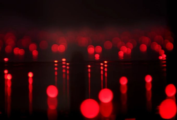 Image in tweet by The Vigilant Fox 🦊