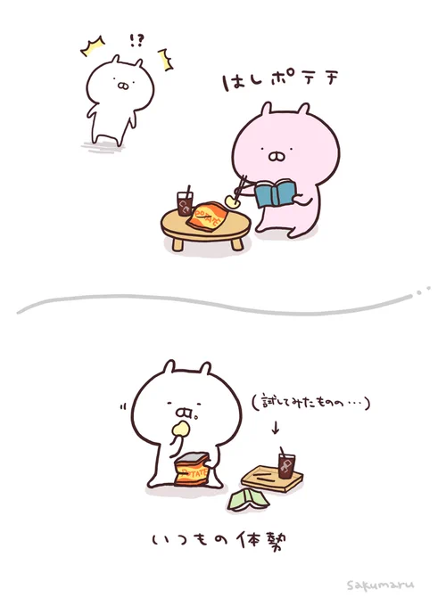 箸ポテチ🥢 