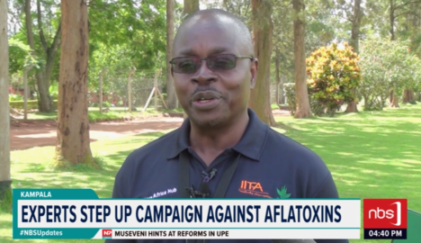 NBS Television (@nbstv) on Twitter photo Agricultural experts have intensified efforts to combat aflatoxin contamination, a growing threat to human health and the marketability of Ugandan produce.
<a href="/CathNakato/">Catherine Nakato</a>
#NBSAt430 #NBSUpdates Agricultural experts have intensified efforts to combat aflatoxin contamination, a growing threat to human health and the marketability of Ugandan produce.
<a href="/CathNakato/">Catherine Nakato</a>
#NBSAt430 #NBSUpdates