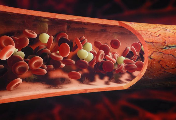 Image in tweet by The Vigilant Fox 🦊