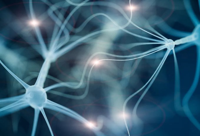 Image in tweet by The Vigilant Fox 🦊