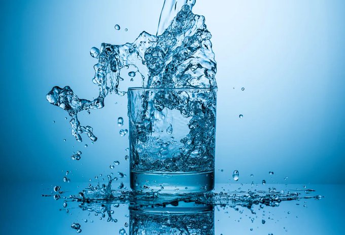 Image in tweet by The Vigilant Fox 🦊