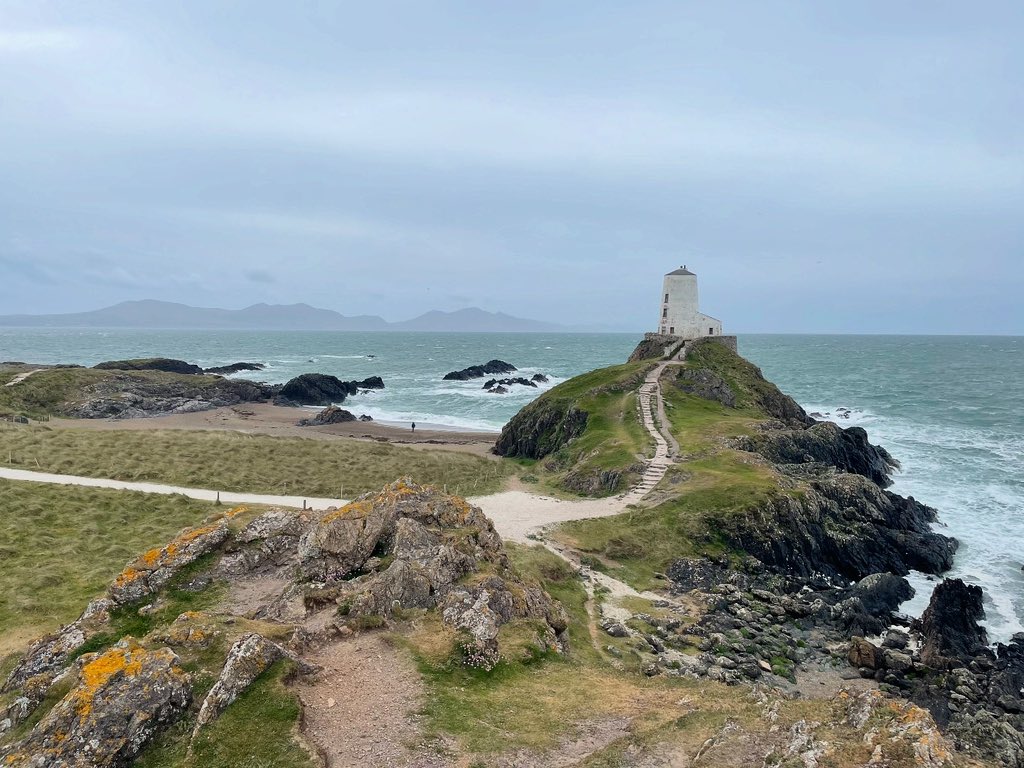W82Matt's tweet image. Trip to Llanddwyn Island this morning before the rain and hoards. Seals, Oystercatcher and Ringed Plover with young. @BNAscience @RSPBCymru @Natures_Voice