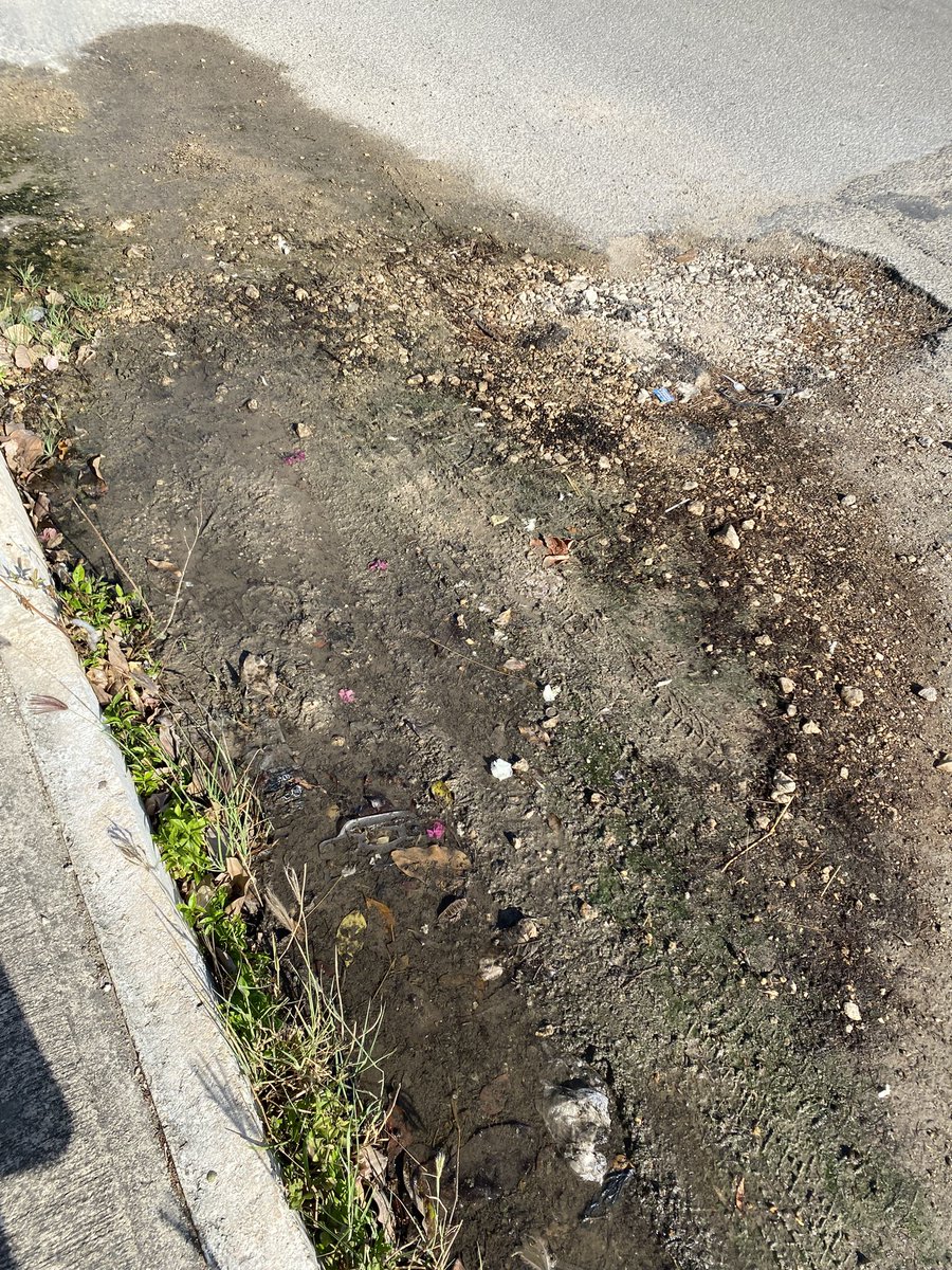 Jose Copca tweet media