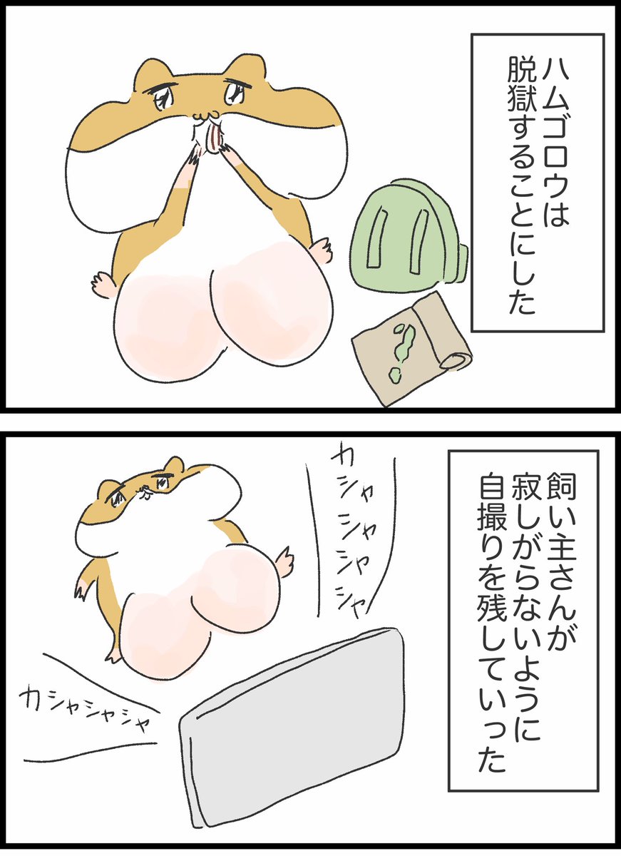【2】デカキンハムの大冒険 
