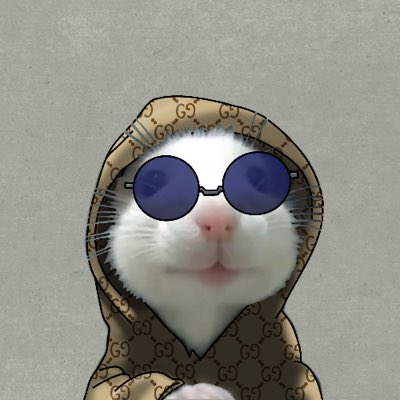 #NewProfilePic we Gucci on @hoodratonsol