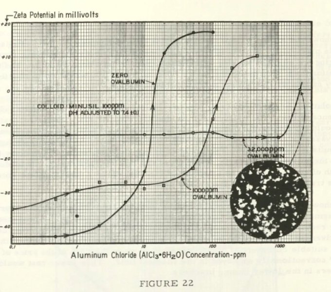 Image in tweet by The Vigilant Fox 🦊
