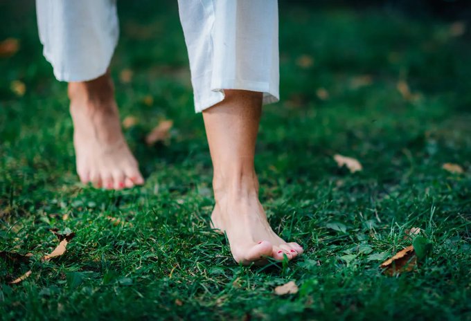 Image in tweet by The Vigilant Fox 🦊