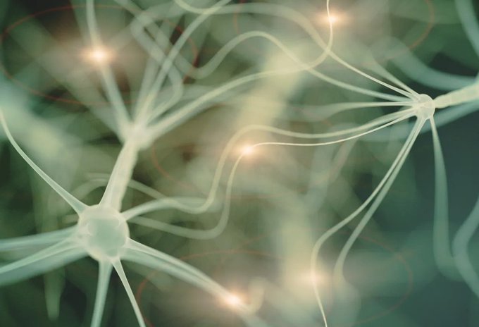 Image in tweet by The Vigilant Fox 🦊