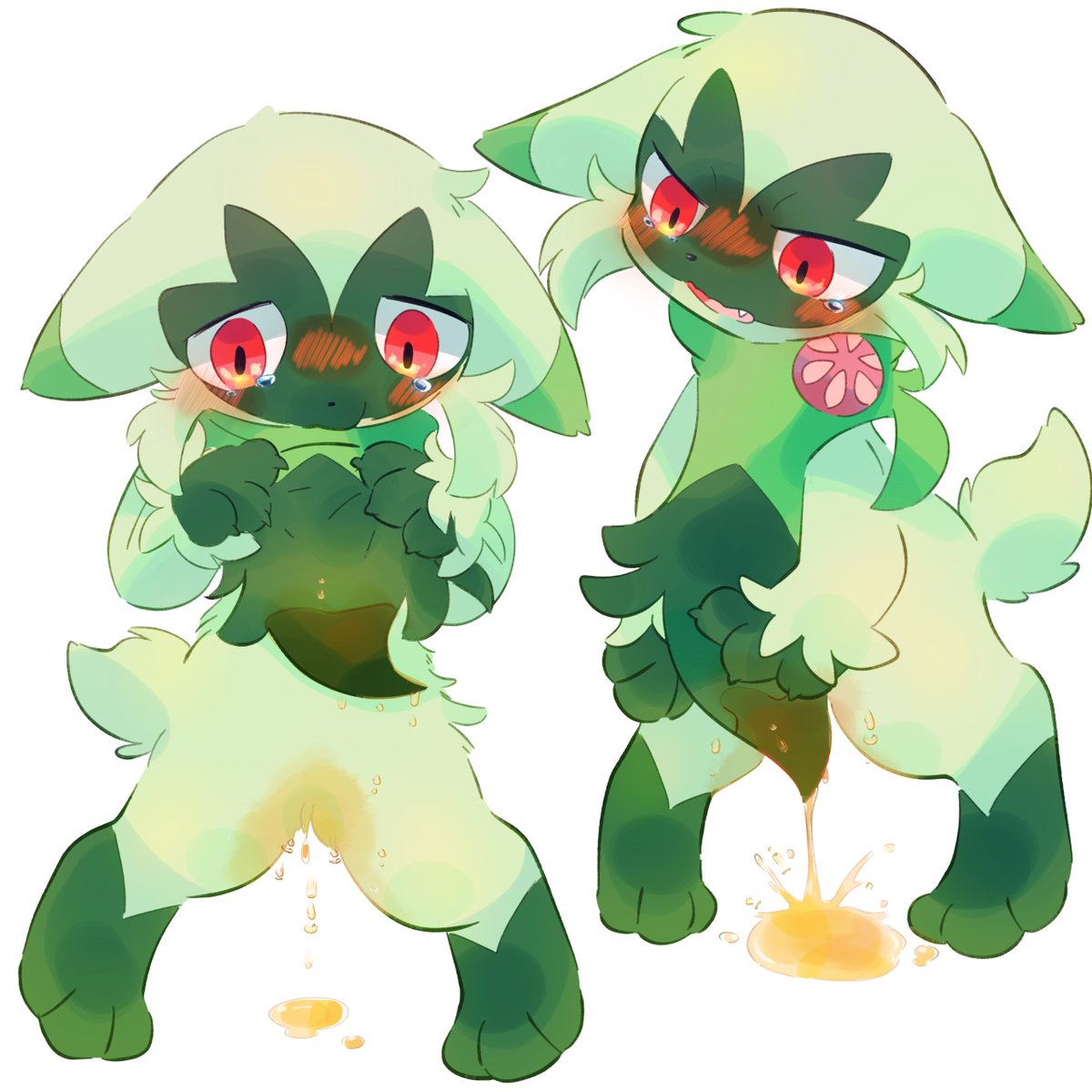 さぬき (@tanuki533) on Twitter photo 