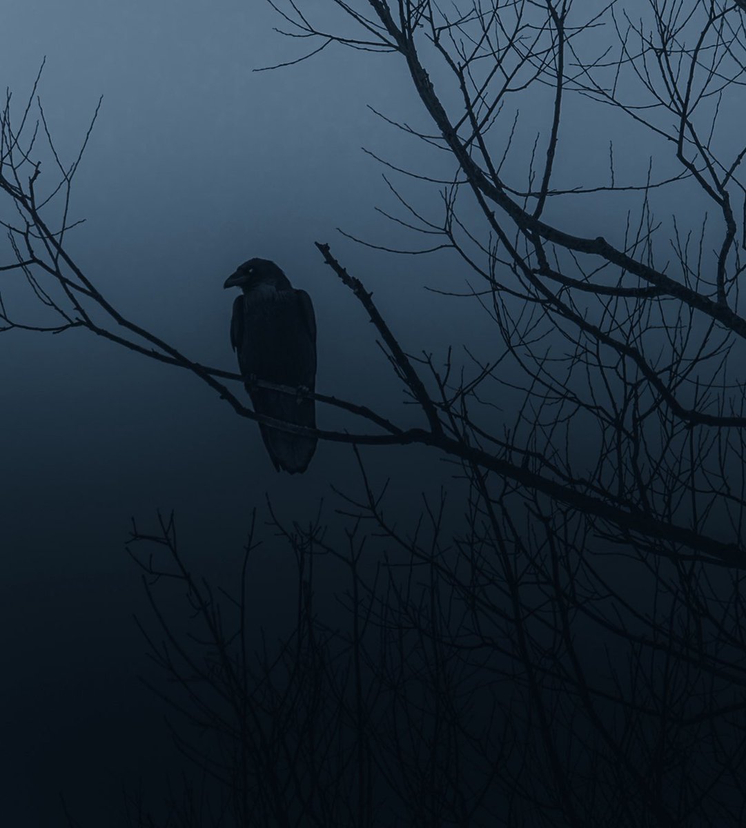 “we’re watching”