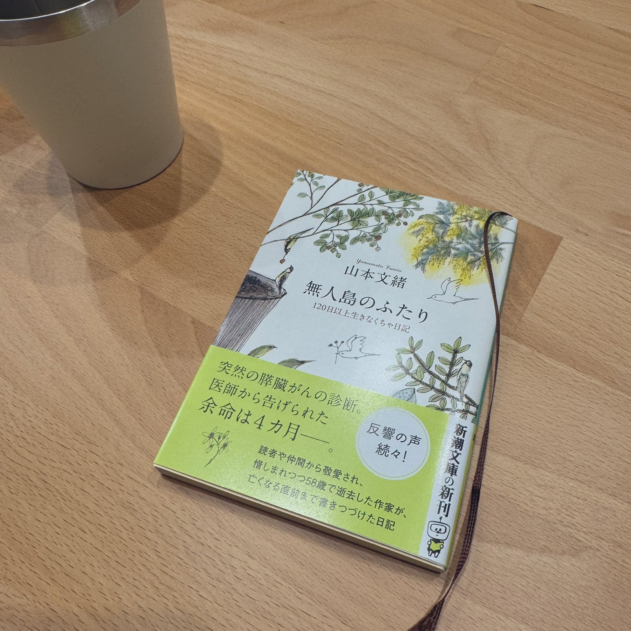 【中古】 暮らしのなかの届け出・手続き事典/三省堂/三省堂 暮らしのなかの届け出・手続き事典 | 三省堂編修所 |本 | 通販