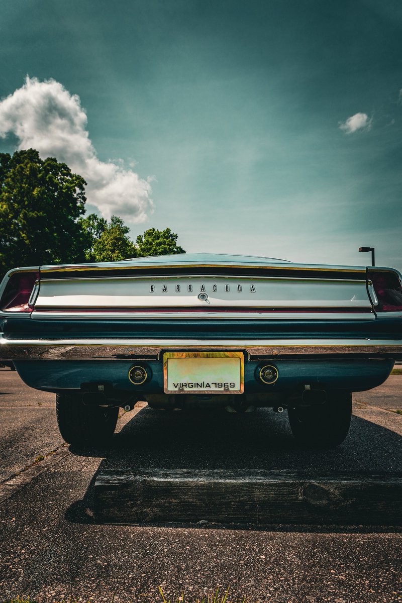 Mason Zaccarine tweet media