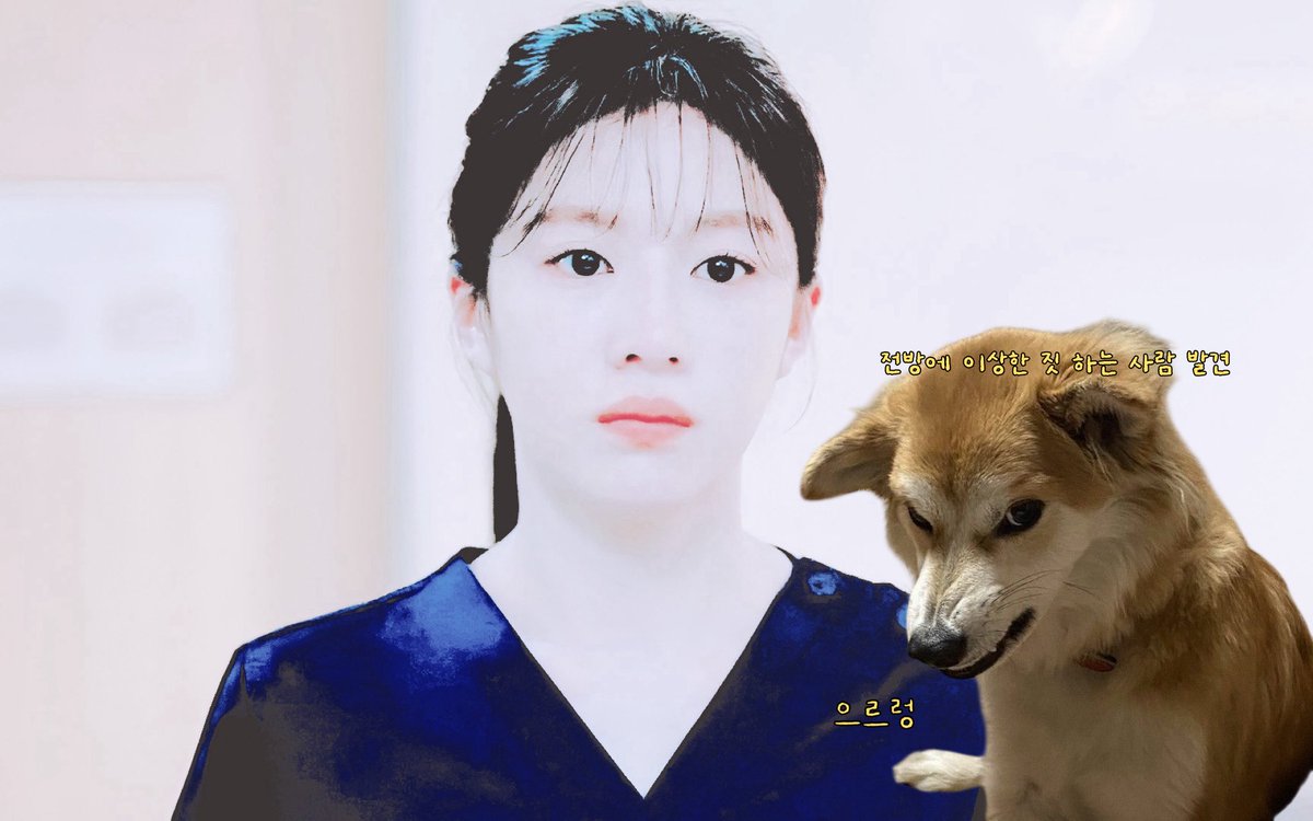 오이영 (@o1y520) on Twitter photo 