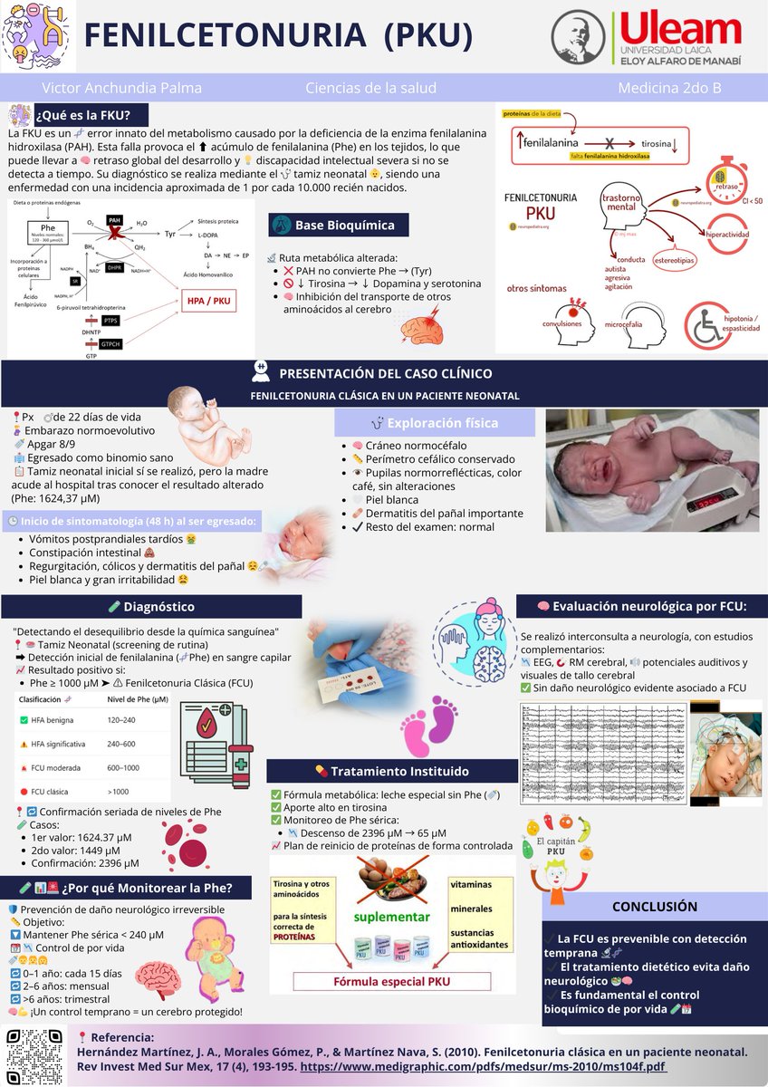 VictorAnchundi's tweet photo. 🧬 La PKU es un error congénito del metabolismo. ¿Sabías que puede causar daño cerebral irreversible si no se detecta a tiempo?
 ¿Conoces sus causas, síntomas y tratamiento?
👉Descúbrelo todo en mi póster científico.
#UleamEsAcademia #UleamEnBuenasManos @Anghelo77ac @UleamEcuador https://t.co/sIZpjCH4D1