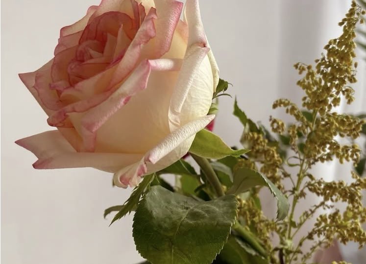 Good morning... happy new week! 🧡