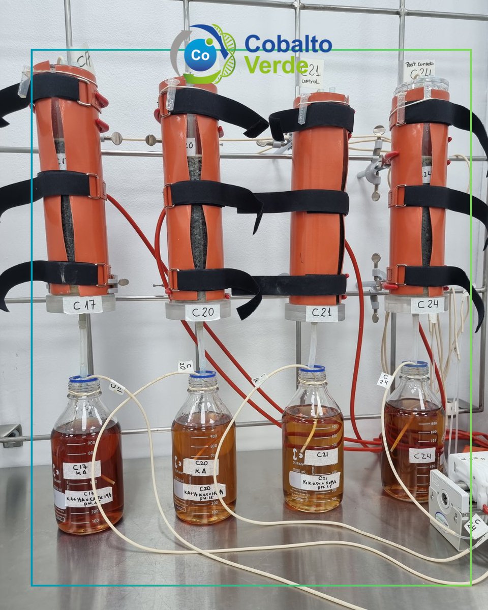 CSB_UNAB's tweet image. El Centro de Biotecnología de Sistemas de la Universidad Andrés Bello recibió la visita del gerente general de Pucobre junto al gerente de operaciones, y el gerente de planificación estratégica de la compañía, socia estratégica del proyecto Cobalto Verde.
#CobaltoVerde #Minería