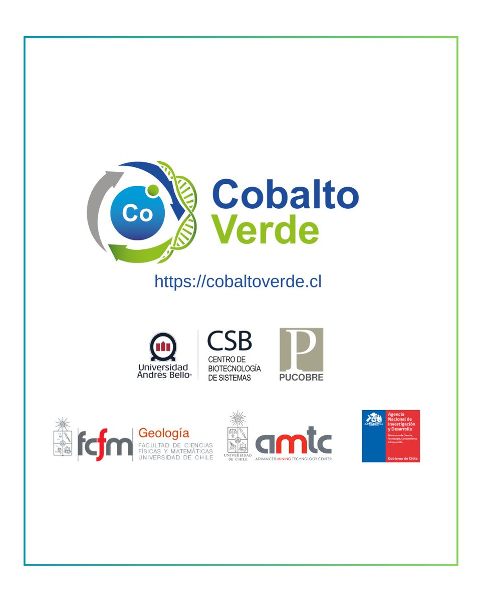 CSB_UNAB's tweet image. El Centro de Biotecnología de Sistemas de la Universidad Andrés Bello recibió la visita del gerente general de Pucobre junto al gerente de operaciones, y el gerente de planificación estratégica de la compañía, socia estratégica del proyecto Cobalto Verde.
#CobaltoVerde #Minería