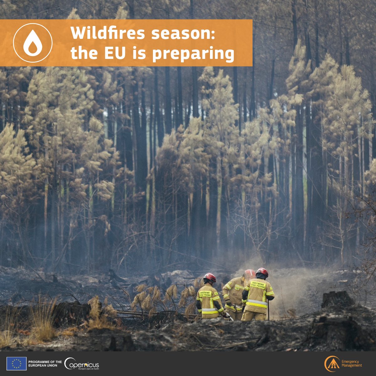 Copernicus EMS (@copernicusems) on Twitter photo 🔥 As wildfire risk grows, the EU is stepping up preparedness.
The CEMS European Forest Fire Information System (EFFIS) monitors fire danger and activity in near-real time, helping authorities prepare for and respond to wildfires.
More on EU action 👉 …tection-humanitarian-aid.ec.europa.eu/what/civil-pro… 🔥 As wildfire risk grows, the EU is stepping up preparedness.
The CEMS European Forest Fire Information System (EFFIS) monitors fire danger and activity in near-real time, helping authorities prepare for and respond to wildfires.
More on EU action 👉 …tection-humanitarian-aid.ec.europa.eu/what/civil-pro…