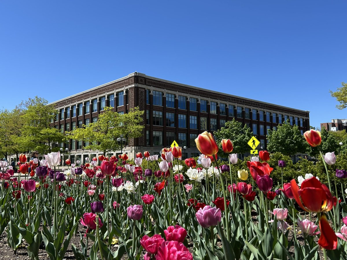 David Conroy tweet media