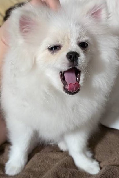 寝まくったら休日終わってた。