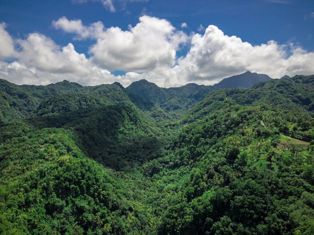 "Look deep into nature, and then you will understand everything better." - Albert Einstein 🌿 #NatureWisdom #Quote