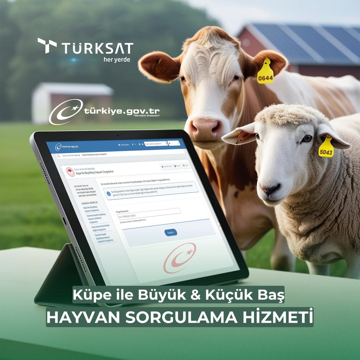 🐄🐑 Kurbanlıklarınızın bilgileri e-Devlet Kapısı'nda

Küpe numarasıyla, Büyükbaş ve Küçükbaş Hayvan Sorgulama Hizmeti üzerinden kurbanlıklarınızın bilgilerine kolayca ulaşabilirsiniz.

🔍Büyükbaş hayvan sorgulamak için: turkiye.gov.tr/gtvh-kupe-ile-…
🔎Küçükbaş hayvan sorgulamak için: