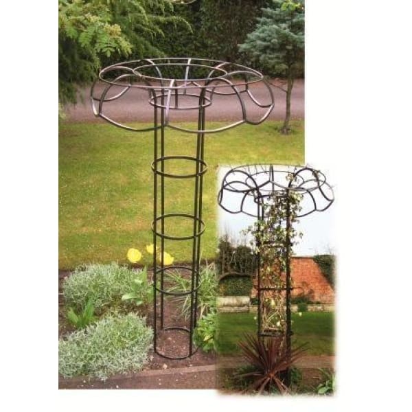 A Large Tutuer is an unusual garden structure to show flowering climbers from a new angle. The mushroom style support is ideal for clematis, roses or any other flowering climbers.Made from steel and coated in a durable black antique  paint. Height 77" Diameter 43". £239.