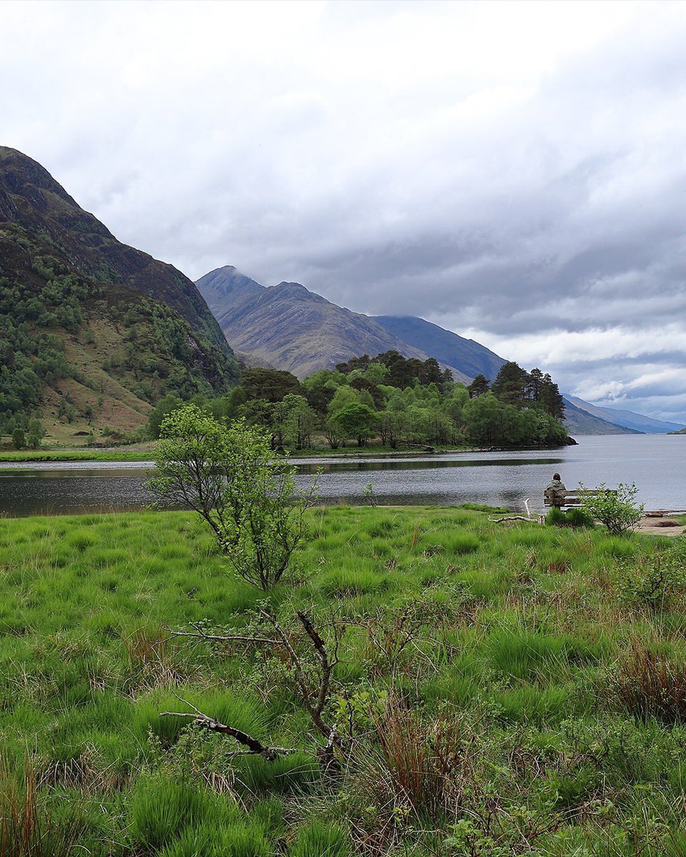 @Scotland tweet media