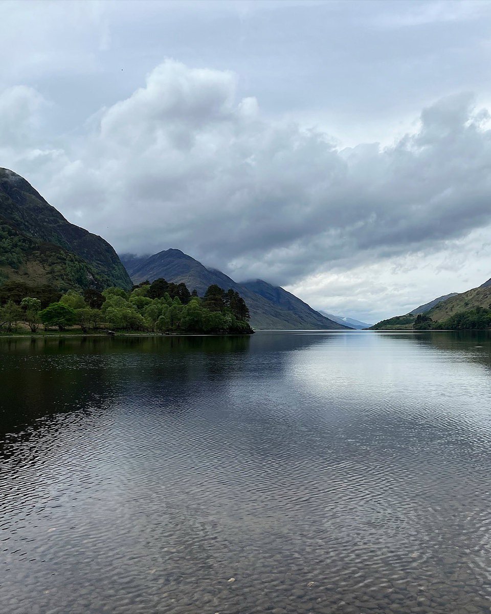 @Scotland tweet media