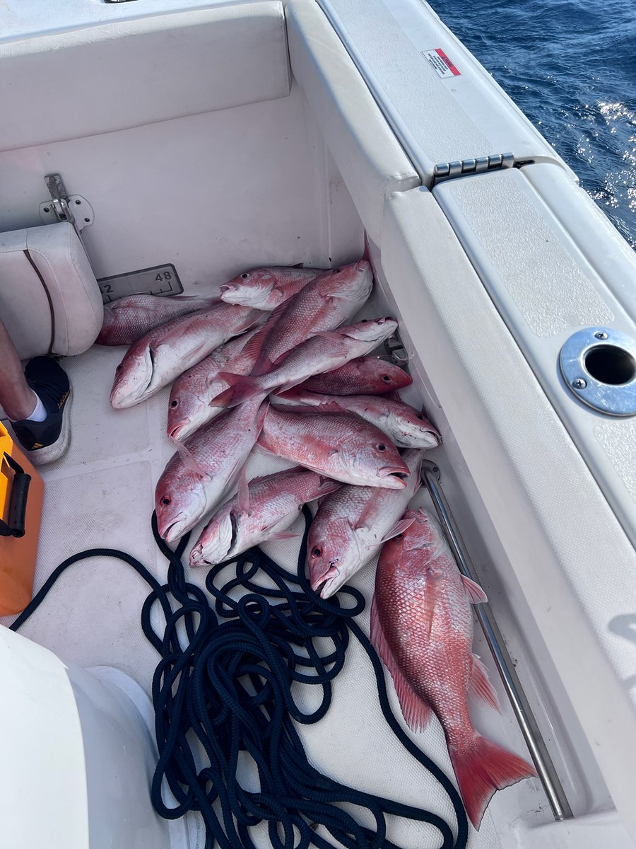 Wally⚡️West (@drpopandlocks) on Twitter photo 