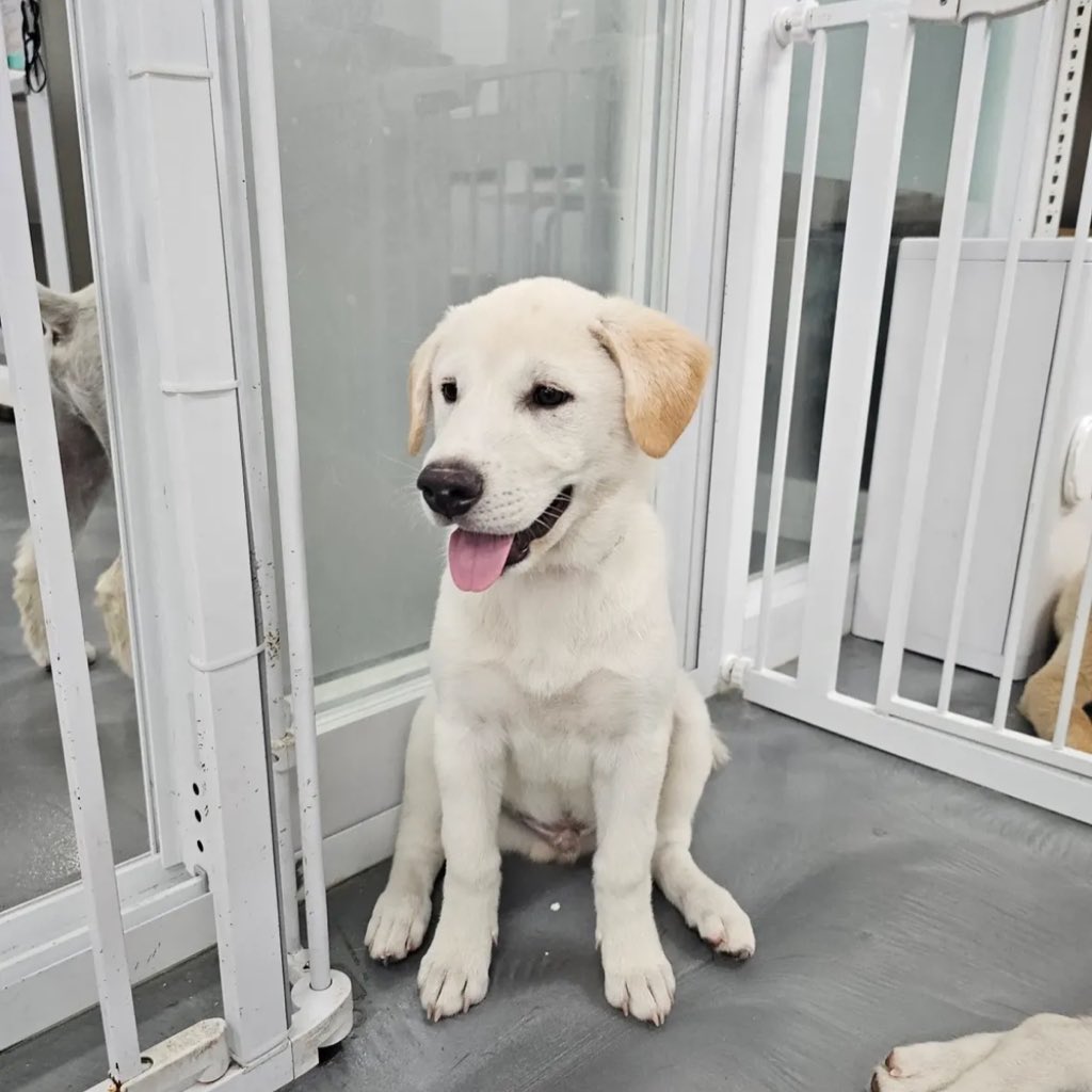 #가족찾는에디
요랬는데                             요래됐습니다