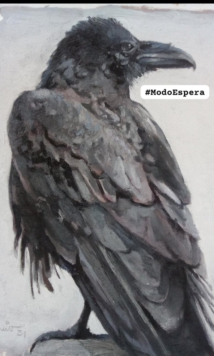 Micovirosis's tweet photo. #ModoEspera https://t.co/IlgFu7Gq3L