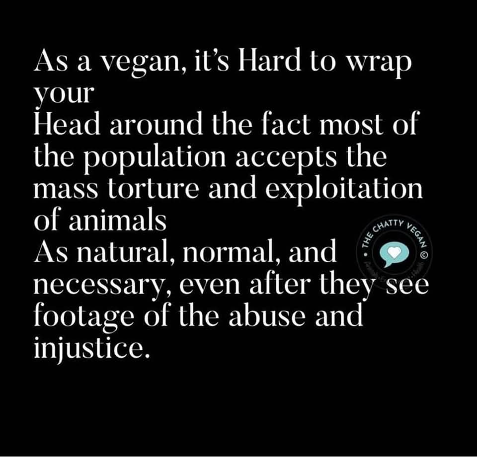 It is mind numbingly so😢