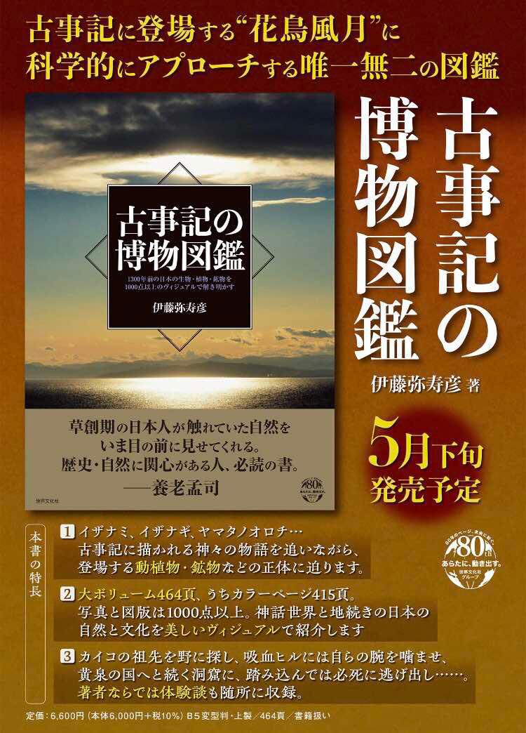 東海鉱物採集ガイドブック 名古屋鉱物同好会 伊藤剛 七賢出版 東海鉱物採集ガイドブック 名古屋鉱物同好会 伊藤剛 七賢出版