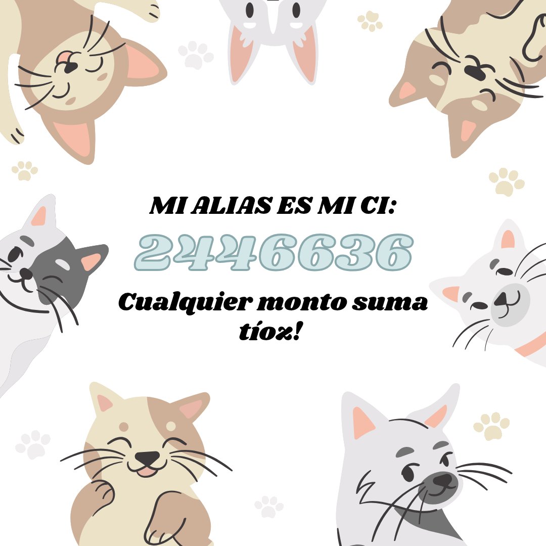 La meta de la semana para solventar la veterinaria de Toby es de 571.000.. el de la semana pasada se acumuló, no se logró liquidar todavía.. así que cualquier aporte suma tíoz para ir liquidando en orden hasta su alta.. mi alias es mi CI 2446636.. todo suma tíoz.. 🙏❤️‍🩹