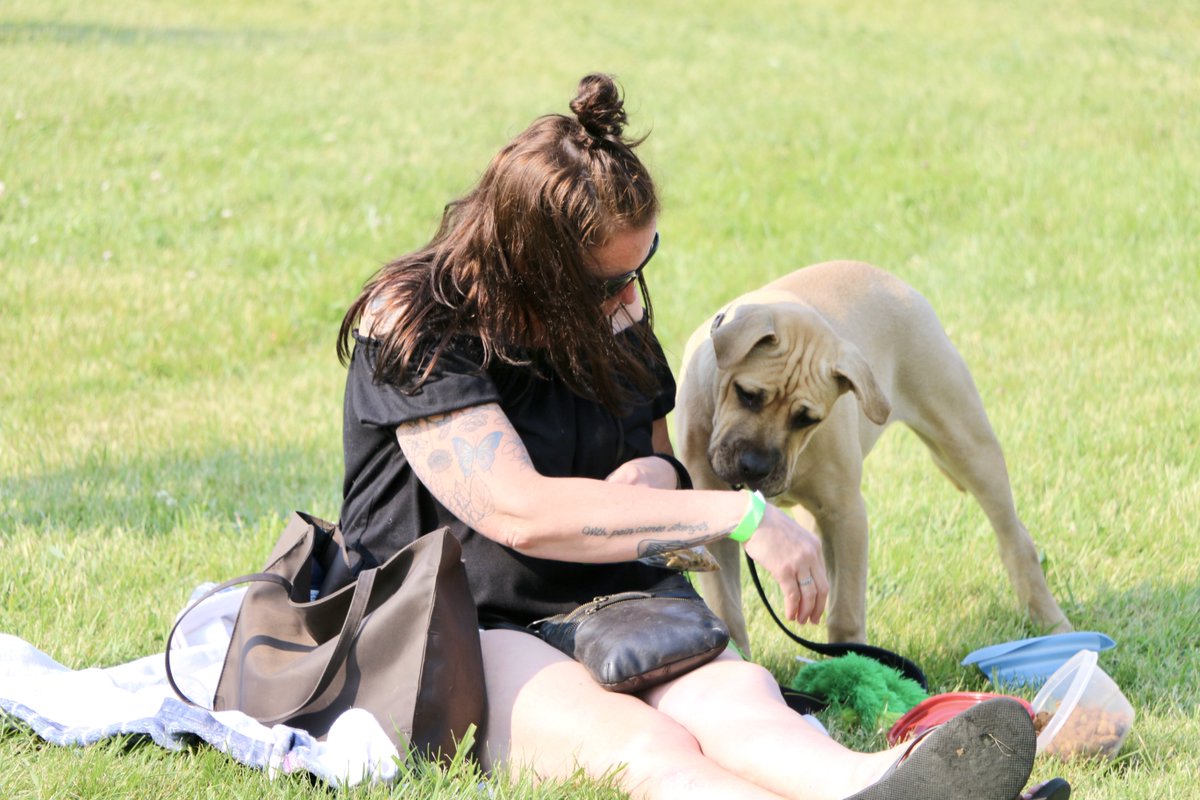 🐾 Dogs are welcome at YGK Craft Beer Fest! Bring your pup, grab a drink, enjoy live music, and meet great people (and dogs!) Who knows... you might both make a new best friend 🍻🐶
🎟️ ygkcraftbeerfest.ca
#YGKCraftBeerFest #DogFriendly #FortHenry #PawsAndPints #ExploreOntario