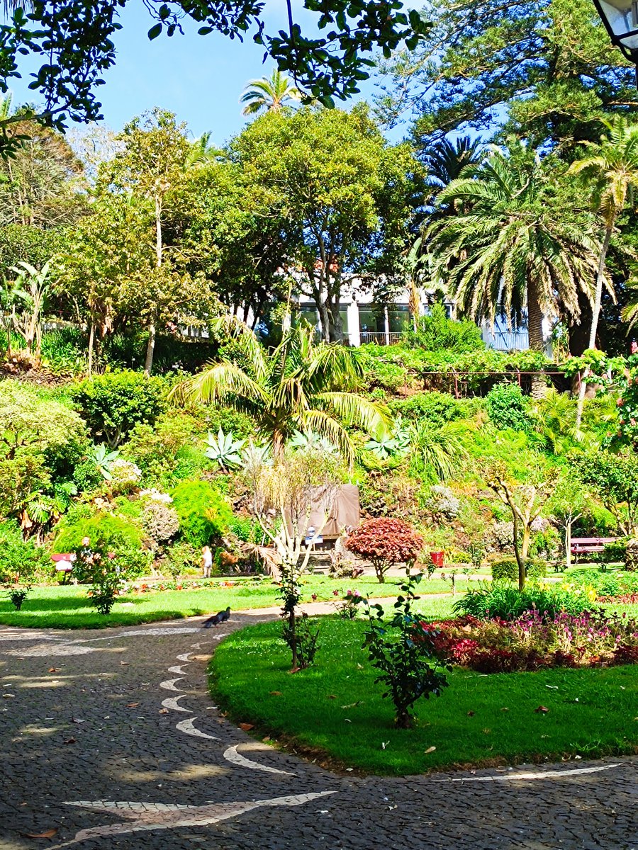 Alexey Weiss, MD 🇮🇱🇺🇦 (@dweisa) on Twitter photo 