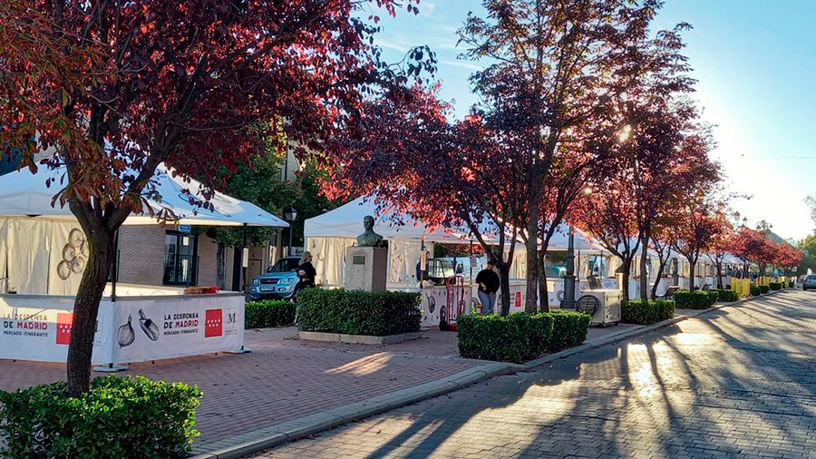 #Ferias | La Comunidad de Madrid celebra la XIII Despensa de Madrid que recorrerá 19 municipios promocionando productos locales

📰 tinyurl.com/bjdv4zu6

<a href="/ComunidadMadrid/">Comunidad de Madrid</a> 
<a href="/MadridCalidad/">M Producto Certificado</a> 
<a href="/CarlosNovilloPi/">Carlos Novillo Piris</a> 
<a href="/DgdeOteo/">Ángel de Oteo</a>