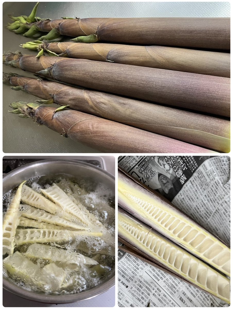 🍚今日の晩ごはん🍚
茄子味噌炒め🍆
淡竹とこんにゃく炒め
豆サラダ🥗🫘
淡竹とサバ缶のお味噌汁
ご飯🍚

淡竹👩🏻‍🍳
採れたての淡竹が売ってました👨🏼‍🌾🚗
アクが少なく湯がいただけ👍🏻
とっても美味しかった😋

お疲れ様でした❤️

#茄子味噌炒め
#淡竹
#おうちごはん