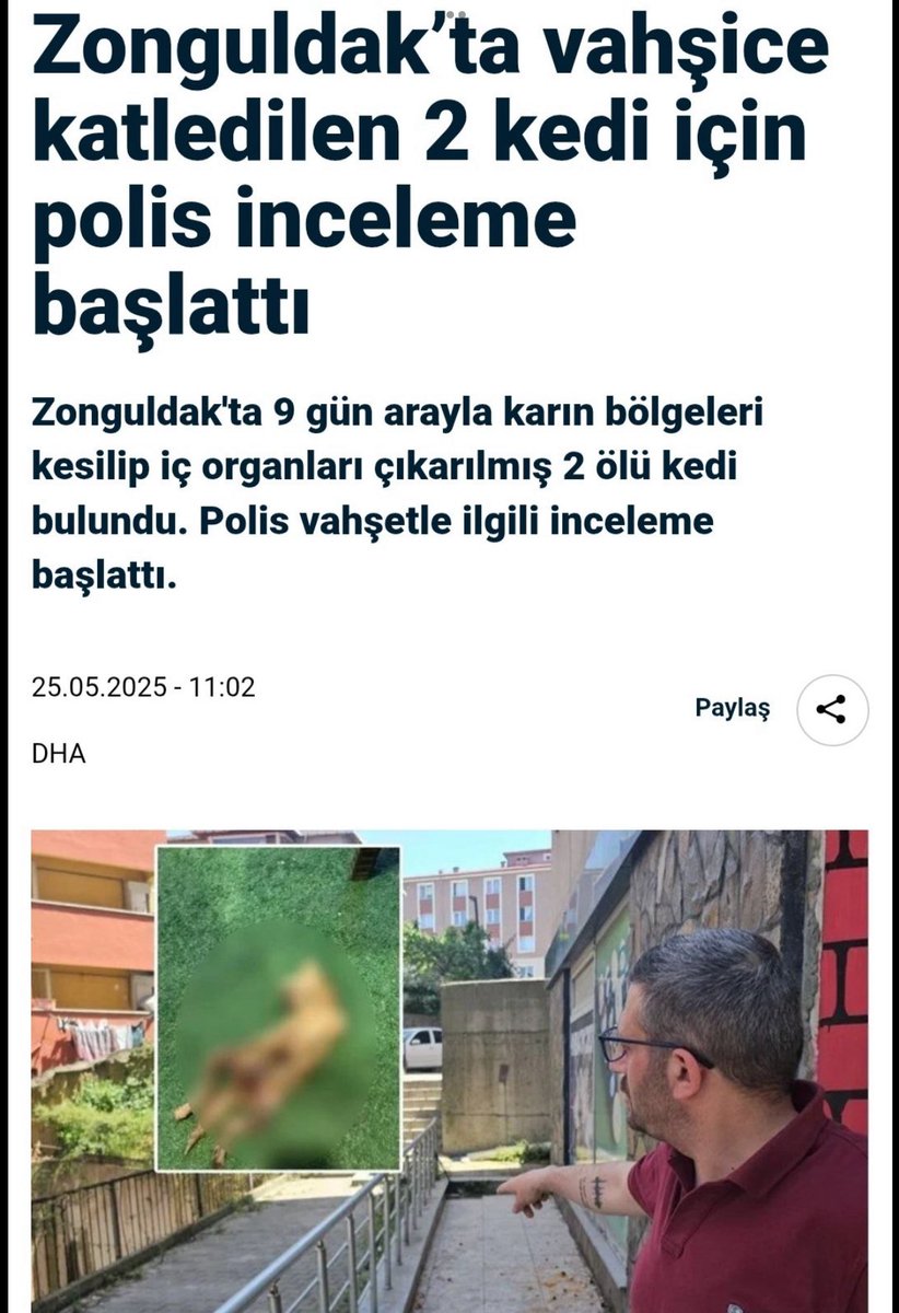cenkerenonline's tweet photo. Anayasa Mahkemesi yasayı iptal etmediğine göre bi bildiği vardır elbet. Çok değerli üyeler bunu yapan kişilerin bir sonraki hedefi çocuklar oluyormuş bilim öyle söylüyor sizinde bilginiz olsun ki sonra şaşırmayasınız.Saygılarımla.
@AYMBASKANLIGI 
#SokakHayvanlarıSahipsizDeğil https://t.co/iGL8jxlly2